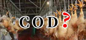 一般雞屠宰廢水COD在多少？