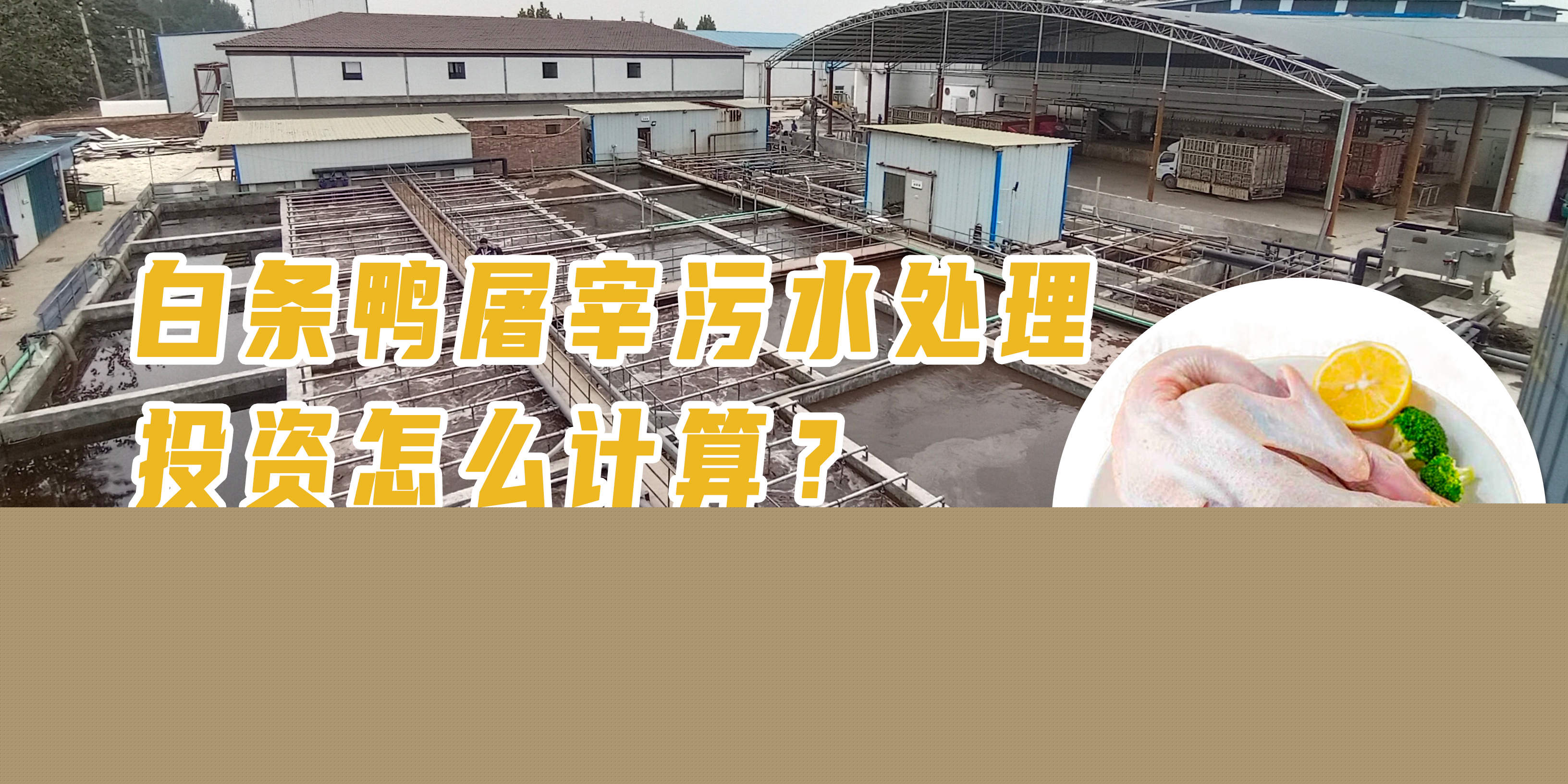 白條鴨屠宰污水處理投資怎么計算？