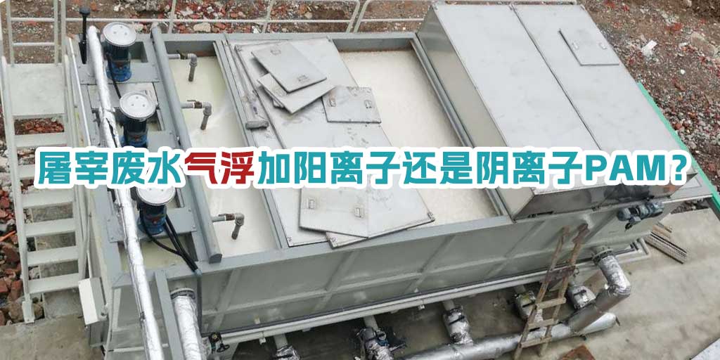 屠宰廢水氣浮加陽離子還是陰離子PAM？