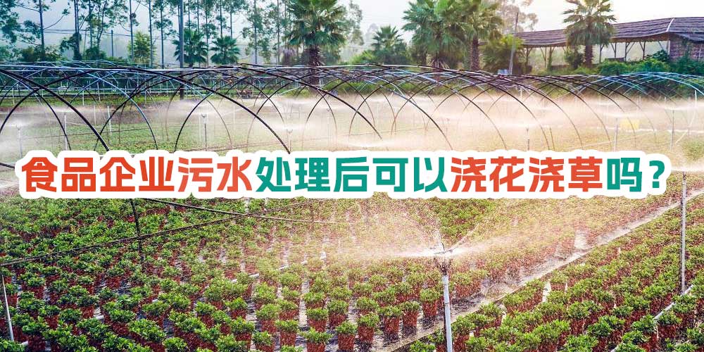 食品企業(yè)污水處理后可以澆花澆草嗎？