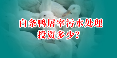 白條鴨屠宰污水處理投資多少？