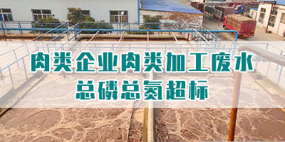 肉類企業(yè)肉類加工廢水總磷總氮超標(biāo)怎么處理？
